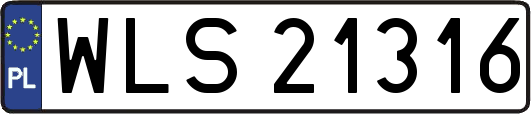 WLS21316