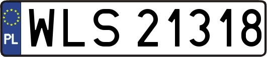 WLS21318