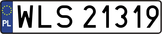 WLS21319