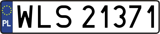 WLS21371