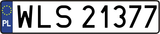 WLS21377