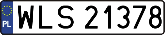 WLS21378