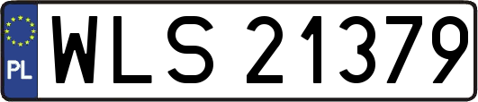 WLS21379