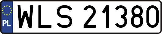 WLS21380
