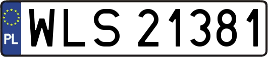 WLS21381