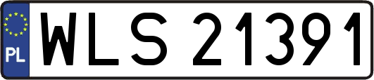 WLS21391