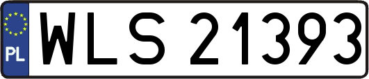 WLS21393