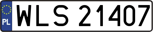 WLS21407