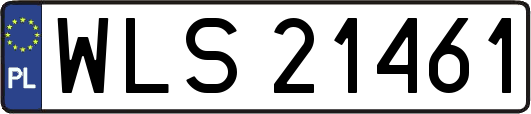 WLS21461