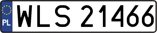 WLS21466