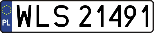 WLS21491