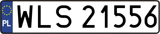 WLS21556