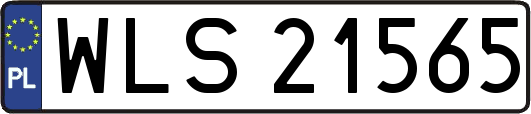 WLS21565