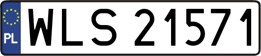 WLS21571