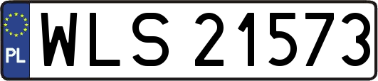 WLS21573