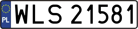 WLS21581