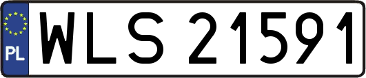 WLS21591