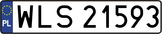 WLS21593