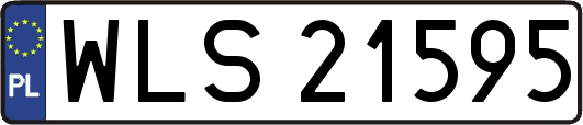 WLS21595