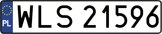WLS21596