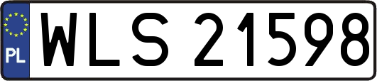 WLS21598