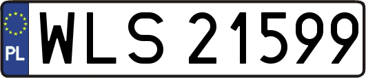 WLS21599