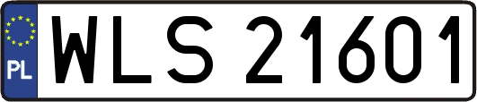 WLS21601