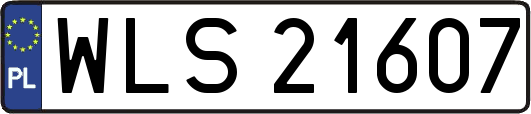 WLS21607