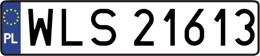 WLS21613