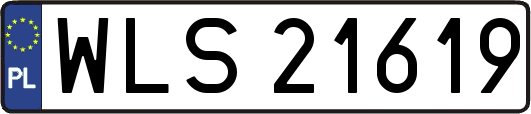 WLS21619