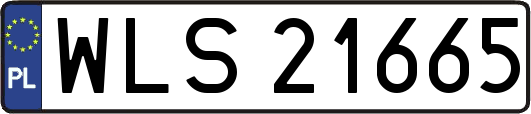 WLS21665