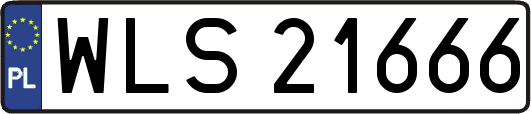 WLS21666