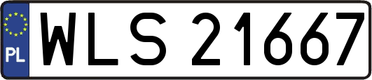 WLS21667