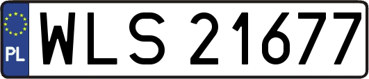 WLS21677