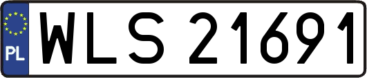WLS21691