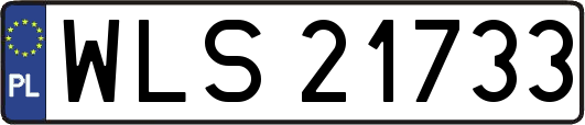 WLS21733