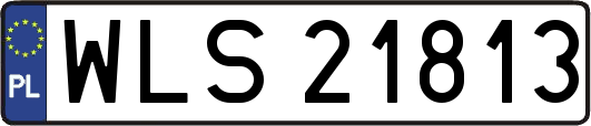 WLS21813