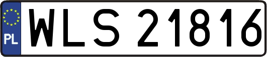 WLS21816