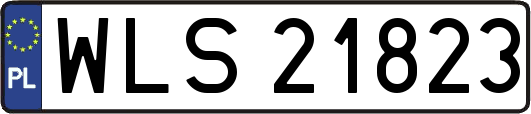 WLS21823