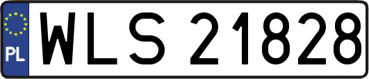 WLS21828