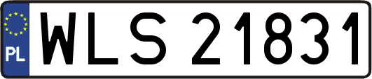 WLS21831
