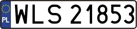 WLS21853