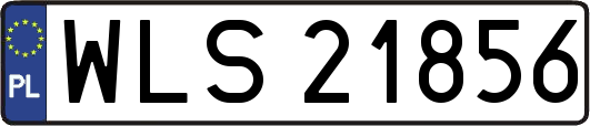 WLS21856