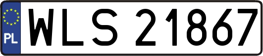 WLS21867