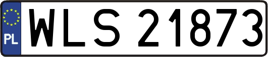 WLS21873