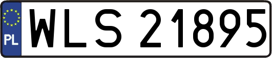 WLS21895