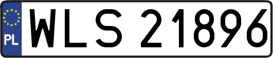 WLS21896