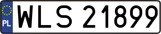 WLS21899