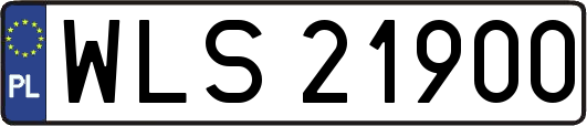 WLS21900