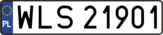 WLS21901